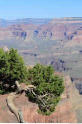 Photo References of Background Grand Canyon